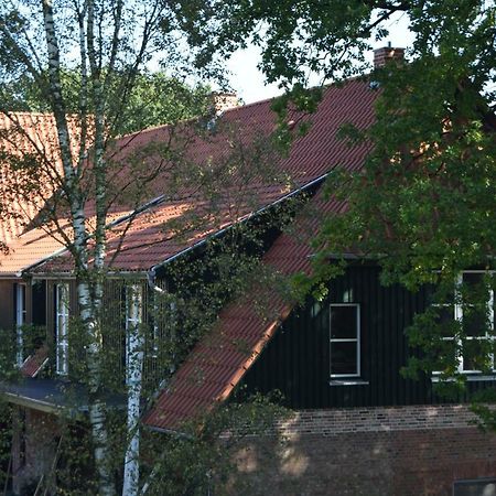 Ferien Hohes Elbufer Hotell Schnakenbek Exteriör bild